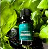 Basil Organic Essential Oil- 100% Pure and Undiluted