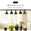 Barrell Official Aechmea Fan with Lighting Rail Mount Type, Moisture Proof (Matte Black)