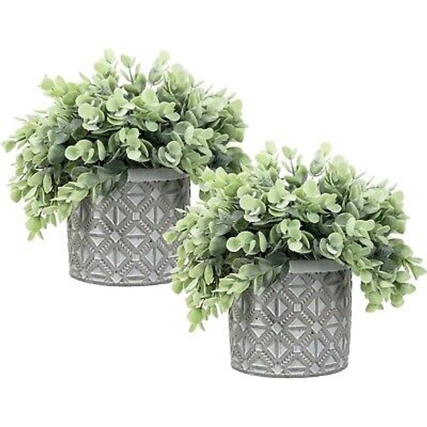 Artificial Eucalyptus Boxwood Plant in Gray Concrete Pots, Plant Pots, Set of 2