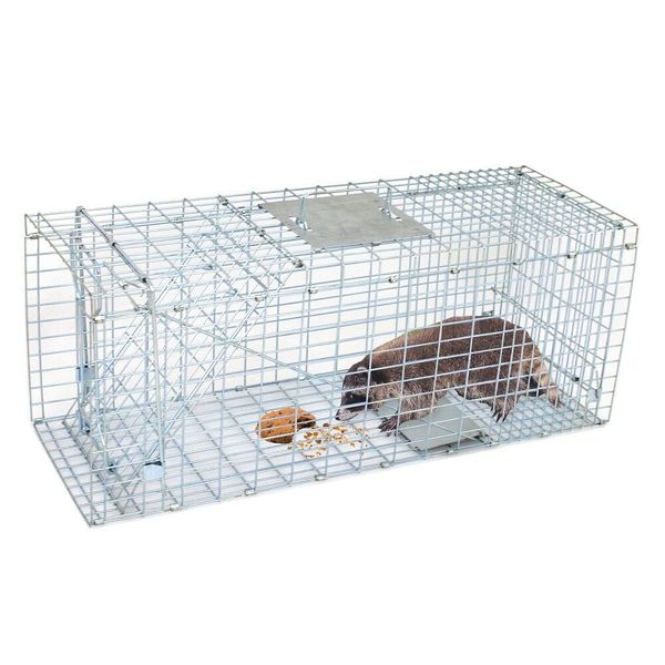 Extra Large Rodent Cage Live Animal Trap Garden Rabbit Raccoon Cat 32" x 12.5"