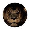 African Lion Head PopSockets PopGrip: Swappable Grip for Phones & Tablets