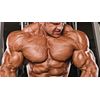 Sport Performance - CREATINE TRI-PHASE - Improve recovery from exercise - 1
