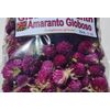 Globe amaranth flower,Amarant
