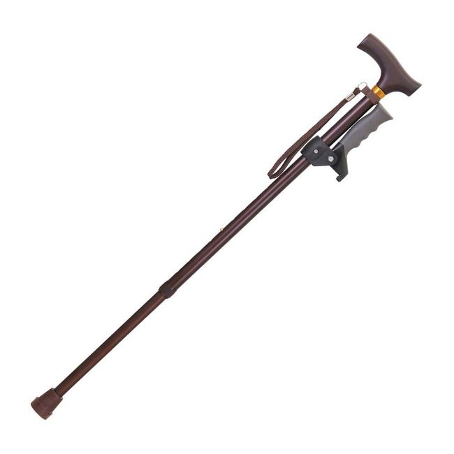 Support telescopic cane BR