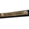 Engraved Solid Brass Horse Headcollar Nameplate 100mm x 15mm