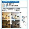 Oderik OB255389BR LED Bracket Light, Bluetooth Dimmable Color, 40W Equivalent, Natural Color, Bulb Color - Daylight