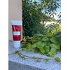 Highly Moisturizing: Peach Scented Hand Cream