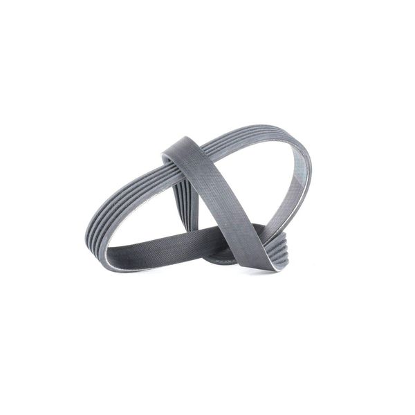 Contitech 5PK725 Loose Multi-V Belt