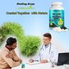 Sea Moss Capsules with Spirulina Capsules + Bladderwrack + Burdock