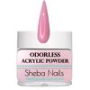 SHEBA NAILS State Board Sealed Odorless Acrylic Nail Mini Kit
