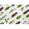 Natural Comfrey Ointment - 200ml Plastic Jar