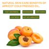 Organic Apricot Kernel Oil & Cold Pressed, Apricot Kernel Oil for Face, Body & Hair Care, Eye Contour, Rejuvenating, Moisturising - 250 ml - 8.45fl oz