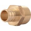 Pex Brb Adptr 3/4m 25pk