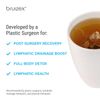 Lymphatic Natural Tea Lymphatic Drainage Ginger Blend for Lymphatic System