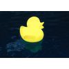 Swimline Led Ducky Floating Light