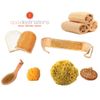 Cellulite Massage & Circulation Brush by Spa Destinations"Creating The At Home Spa Experience"