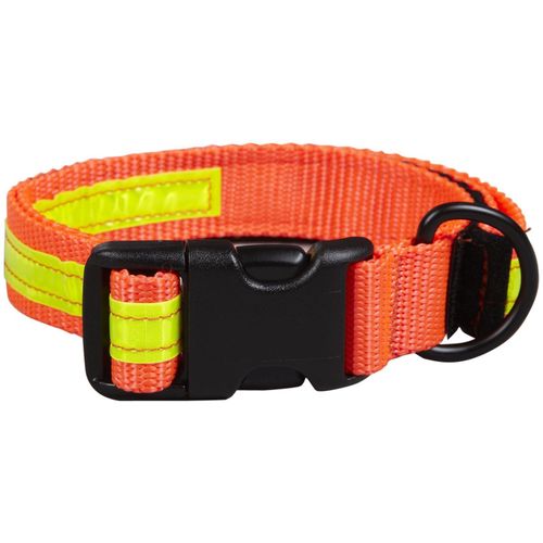Co-Leash All-in-One Collar & Leash Night Lite - Orange - 12-14 inch
