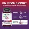 Zhou Elder-Mune Sambucus Elderberry Gummies | 30 Servings, 60 Gummies