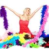 Boland 52672 Feather Boa 180 cm White/Silver