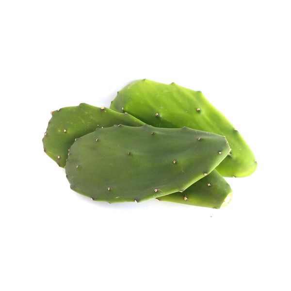 12-Oz Fresh Tortoise Turtle Iguana Reptile Super Food Spineless Opuntia Prickly Pear Cactus