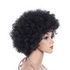 Bomber Afro Wig, Unisex, Cosplay, Costume Accessory, Party, Halloween Costume, Clown Wig (Black)