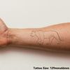 Large 'Lioness' Temporary Tattoo (TO00029185)