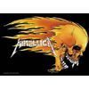 Metallica Skull & Flames Flag