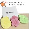 tallnext Sponge, Kitchen Sponge, Dishwashing Sponge, Cellulose Sponge, Tableware, Sponge, Pack of 5