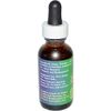 Flower Essence Services Pink Yarrow Dropper Herbal Supplements, 1 Ounce