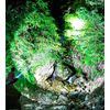 95000000LM LED Flashlight High Powered Torch Super Bright Lamp USB Rechargeable 