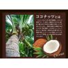 Extra Virgin Coconut Oil & Avocado Oil cocoavo kokoabo , , ,