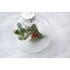 Artificial Plastic Snow Scatter Flakes - Ready to Use - No Prep Needed, 10 Ounce