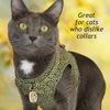 Ninja Cat (Navy, Harness)