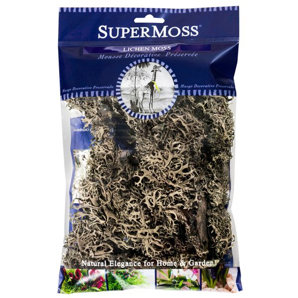 SuperMoss Branched Lichen Parmelia, Natural Grey