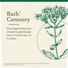 Bach Original Flower Remedies Centaury Be Assertive 0.7 fl oz 20mL