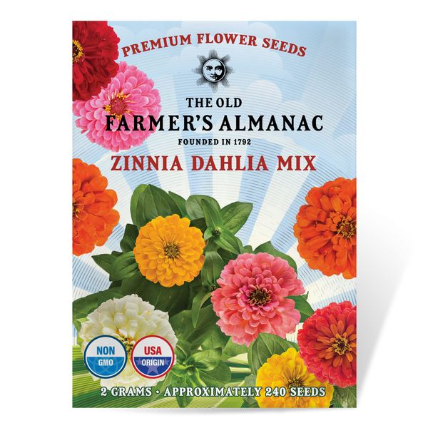 The Old Farmer's Almanac Zinnia Seeds (Dahlia Mix) - Approx 200 Flower Seeds - Premium Non-GMO, Open Pollinated, USA Origin