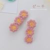 lua Citron Barrette 2-Piece Set, Hairpins, Hair Accessories, Hair Elastics, Hair Clip, Hair Ornament, Hair Clip, Kids, Adults, Women's, Girls, Kids, Stylish, Cute, Brown (Green)