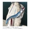 Coreman VJ-22 Vibration Jig Head #041 Silver Head/Shallow Bait