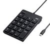 Sanwa Supply NT-18CUBK Wired USB Type-C Connection Isolation Key Black