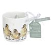 Wrendale Designs - 'Just Hatched' Mug