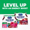 Ocean Spray® Cran-Energy™ Cranberry Pomegranate Juice Drinks, 10 Fl Oz Bottles, 6 Count