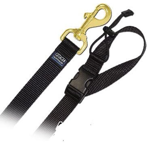 6' Pet Leash - Large w/ Quick Release Handle - Step 5 Brown/Blue Dog Leash