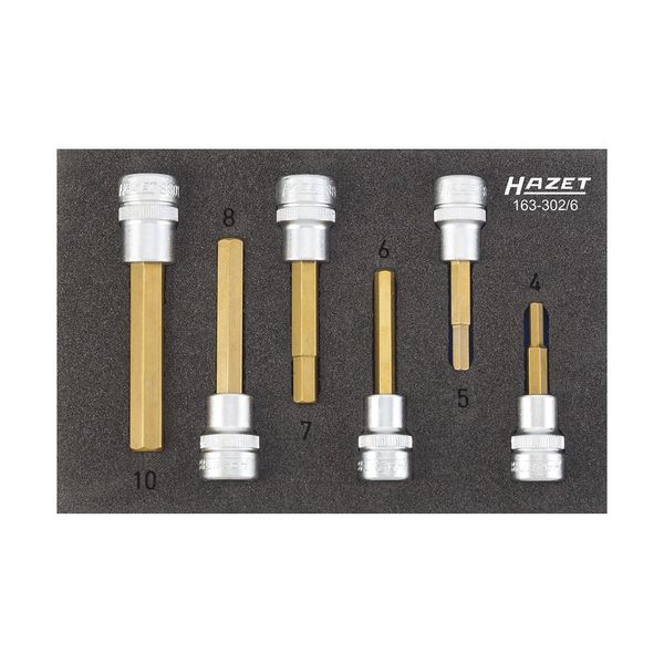 Hazet Screwdriver Socket Set, 163 302/6