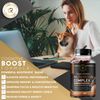 Mushroom Extract Complex Gummies Lions Mane Chaga 2-pack Focus Memory Immunity