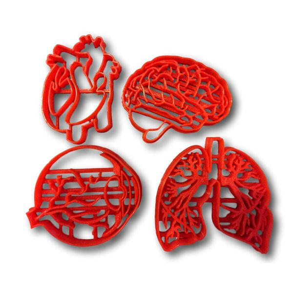 Human Tissue Anatomy Cookie Cutter (Set of 4)