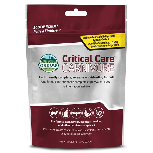 Oxbow Animal Health Critical Care, Carnivore, 70 Gram Bag