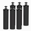 AQUACREST Water Filter, Replacement for Berkey® Gravity Water Filter System, 6P