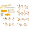 (ABS) Taping, ABS Brand Tape, All 2 Colors, Bowling Accessory, black