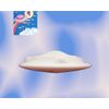 flying saucer model