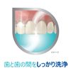 Polydent Dental Lab Medicated Toothpaste, Quasi-Drug, Periodontal Disease (Gingivitis, Pyorrhea), Prevention, 3.5 oz (100 g)